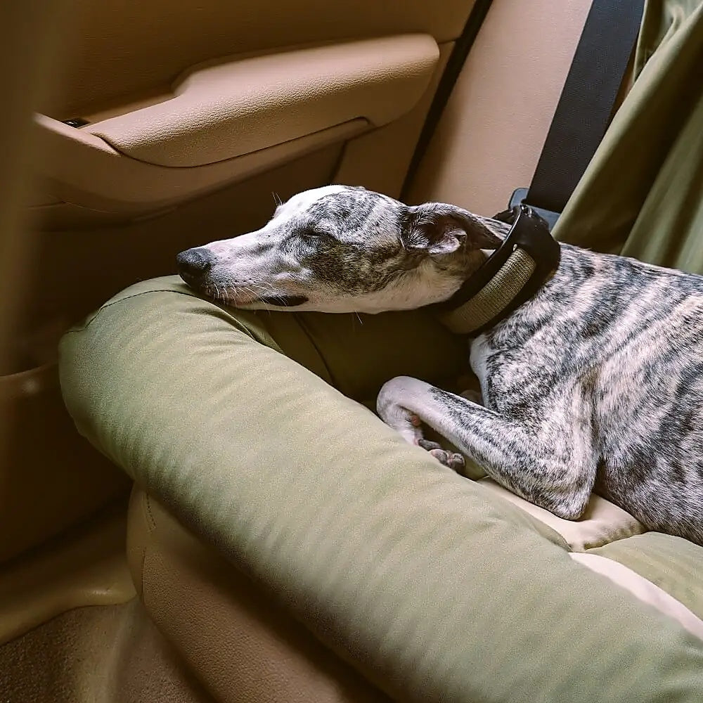 Snuggo™ – The Premium Dog Travel Bed